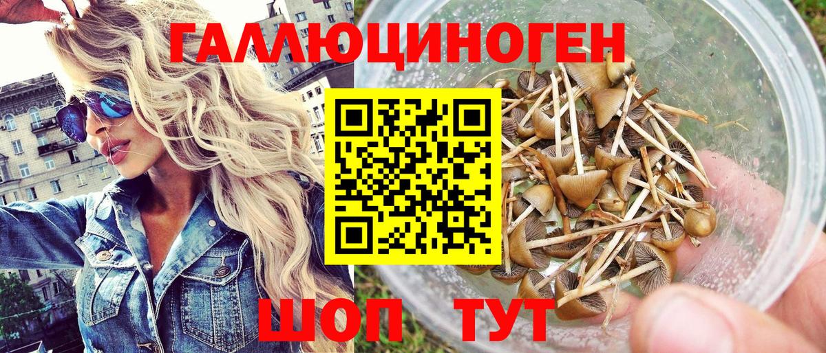 Сибай  Галлюциногенные грибы мицелий  Вход с VPN 